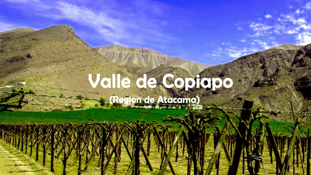 copiapo 1a