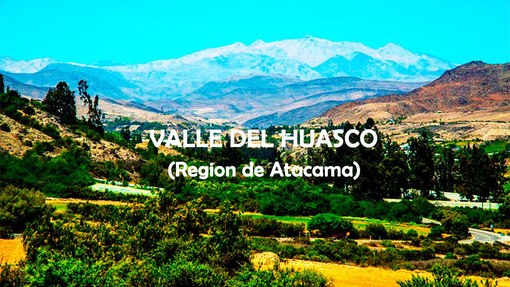 huasco 1a